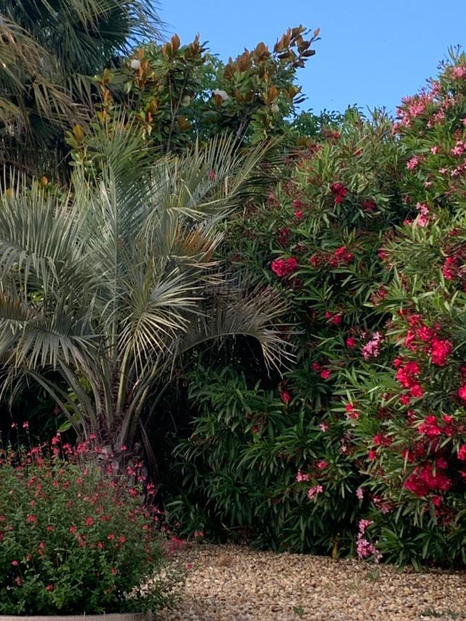 La Dolce Vita Occitane Conilhac-Corbières Exteriér fotografie